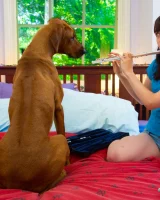 Abby Winters - 01-001