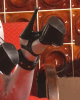 Bound My Bitch - 82-082