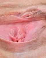 Ftv Girls - 51-veronica01051