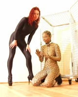 Shiny Kitty - 17-024