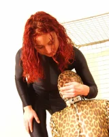 Shiny Kitty - 22-029