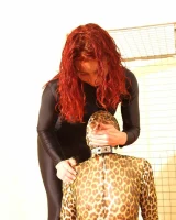 Shiny Kitty - 24-031