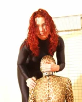 Shiny Kitty - 25-032