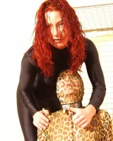 Shiny Kitty - 27-034