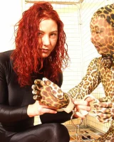 Shiny Kitty - 42-055