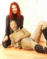 Shiny Kitty - 60-073