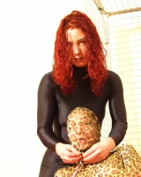 Shiny Kitty - 73-088