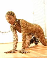 Shiny Kitty - 86-101