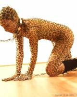 Shiny Kitty - 87-102