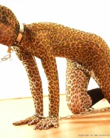 Shiny Kitty - 88-103