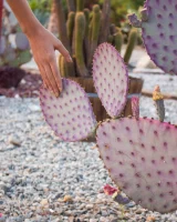 Zishy - 18-full_018-1458070193256