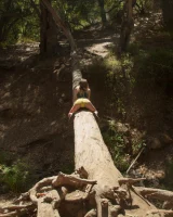 Zishy - 12-full_012-8001517374437