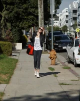 Zishy - 01-full_001-9082231833300