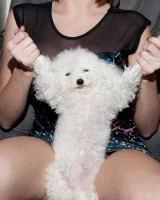 Zishy - 22-full__MG_7787