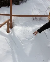 Zishy - 09-full_11-8123013807310