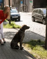 Zishy - 33-full_033_0111042223438754