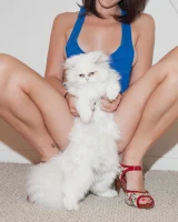 Zishy - 15-full_139o7801852272721